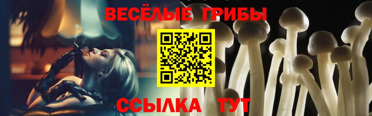 Моздок  Псилоцибиновые грибы Cubensis  Вход с VPN  Псилоцибиновые грибы GOLDEN TEACHER 